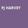 PJ Harvey, The Anthem, Washington