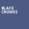 Black Crowes, The Anthem, Washington