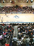 bender-arena