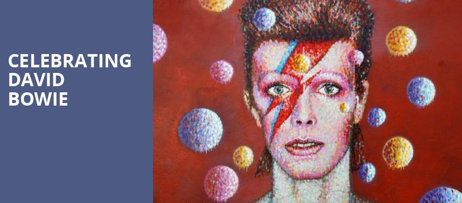 Celebrating David Bowie, The Hamilton, Washington