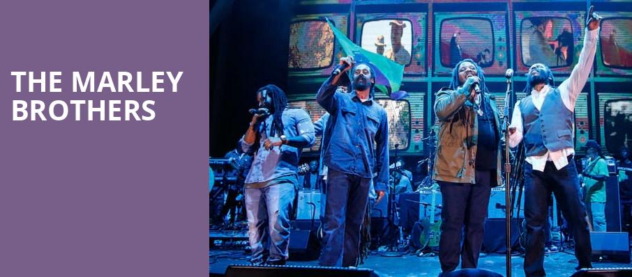The Marley Brothers, Jiffy Lube Live, Washington