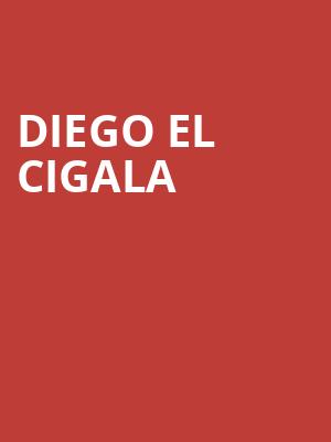 Diego El Cigala Poster