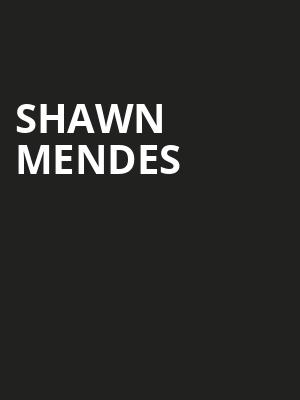 Shawn Mendes, Capital One Arena, Washington