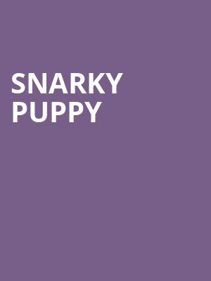 Snarky Puppy, Warner Theater, Washington