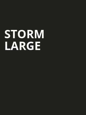 Storm Large Poster