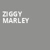 Ziggy Marley, Wolf Trap, Washington