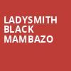 Ladysmith Black Mambazo, Wolf Trap, Washington