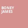Boney James, Birchmere Music Hall, Washington