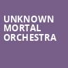 Unknown Mortal Orchestra, 930 Club, Washington