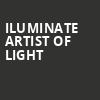 iLuminate Artist of Light, Federal Way Performing Arts Center, Washington