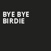 Bye Bye Birdie, Eisenhower Theater, Washington