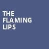 The Flaming Lips, The Anthem, Washington